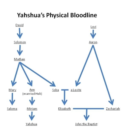 Yeshua's Physical Bloodline